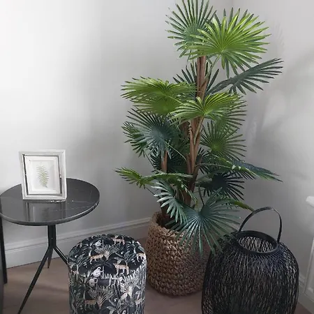Appartement Etoile De *